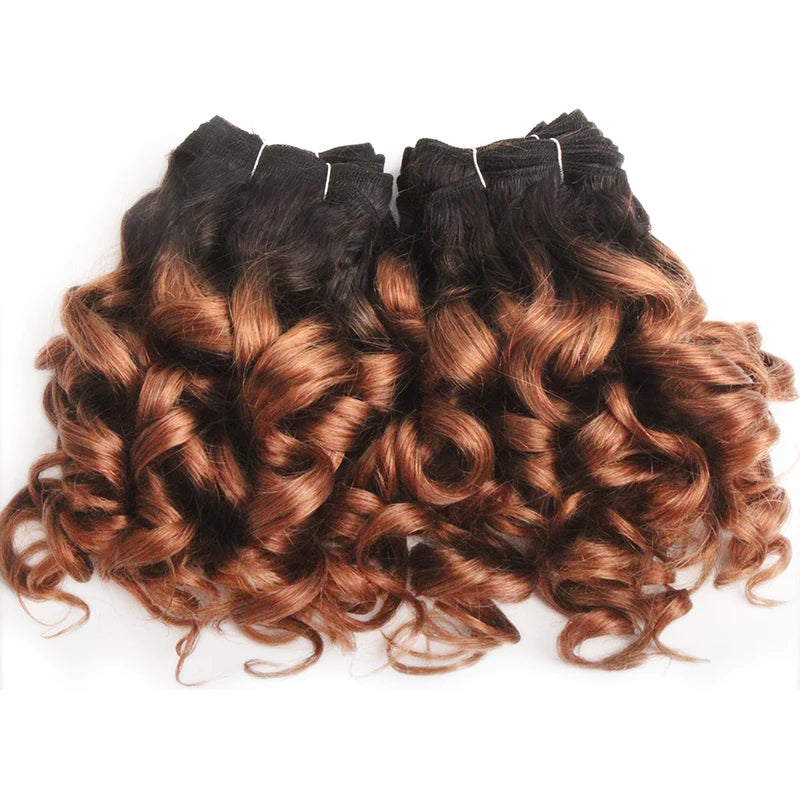 Curly Human Hair Bundles 100% Human Hair Bundles Brazilian Hair Weave Bundles 6 Pcs/Lot Color 1B/2/4/30/33/99J Curly Hair