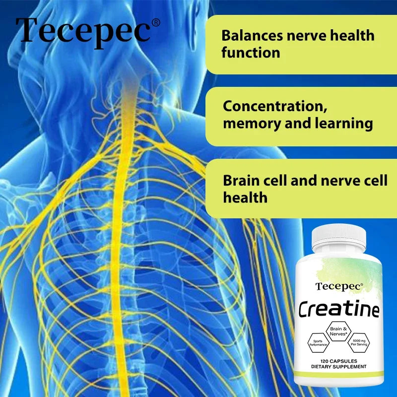 Creatine - Builds Muscle, Improves Athletic Performance, Enhances Physical Endurance and Improves Recovery - 120 Capsules