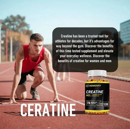 Creatine HCl Capsules - Pre-workout Creatine To Help Build Muscle, Cognitive Function, Muscle Strength and Energy Production